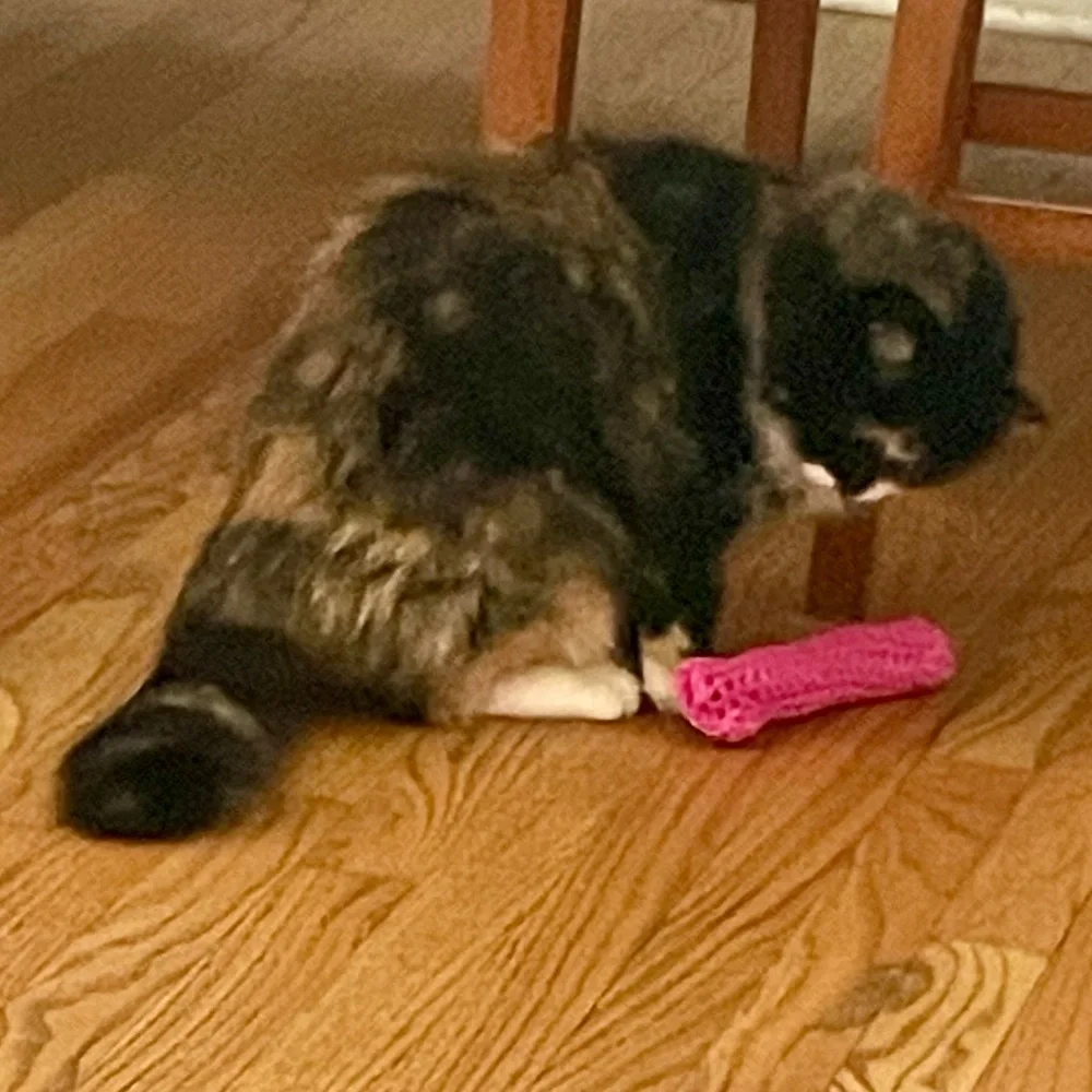 Cat Toy Cat Log Small Dog Toy